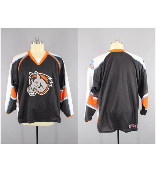 Custom ECHL Missouri Mavericks 70 Bleackley Authentic Hockey Jersey Black